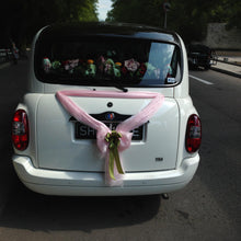 Mr Brown & Miss Connie